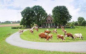 Sint Nicolaashoeve